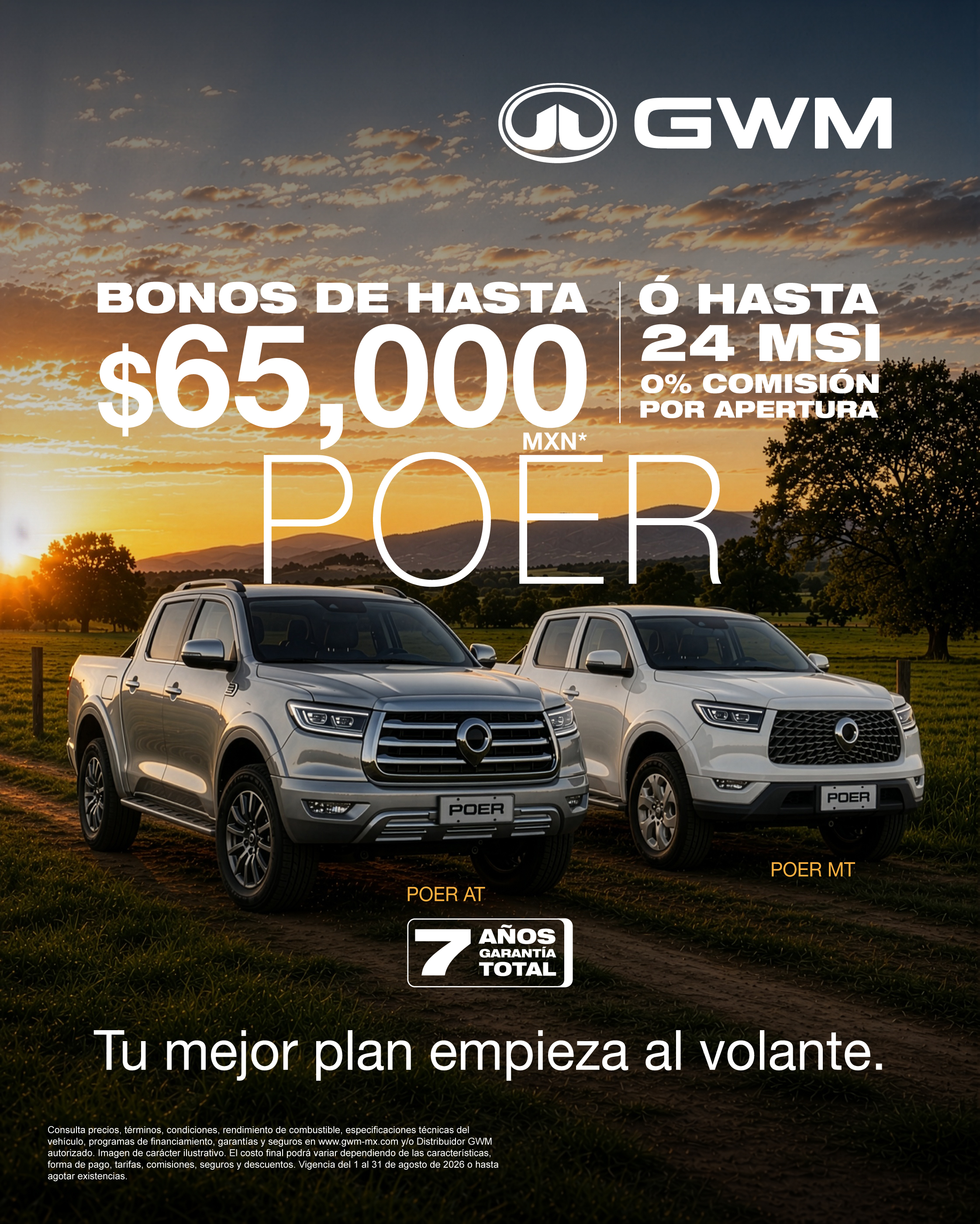 promociones GWM